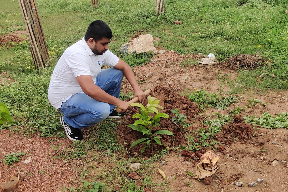 tree planting organizations list