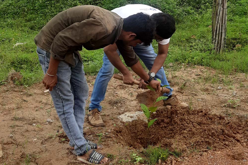 tree plantation ngo people